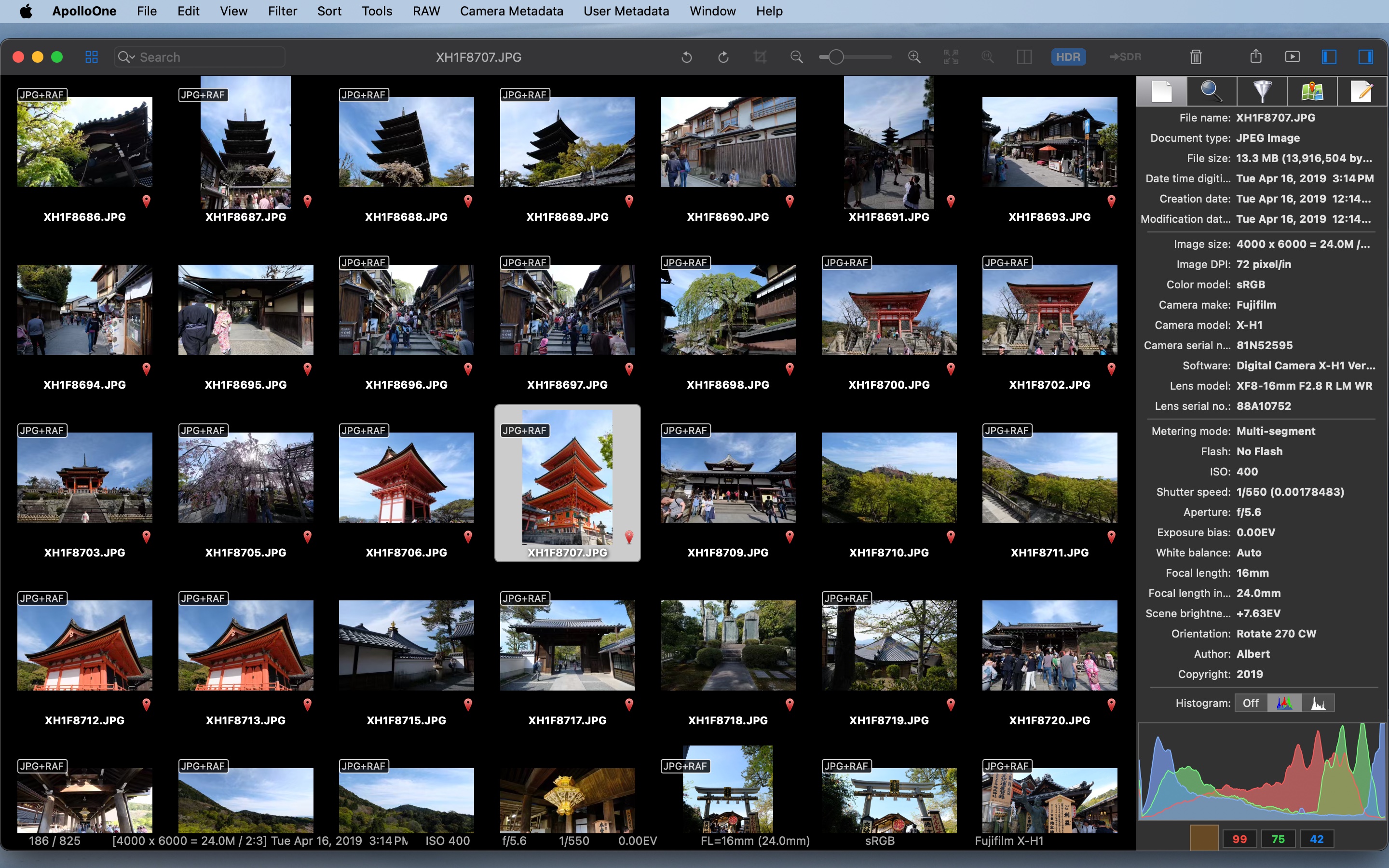 ApolloOne thumbnail grid with histogram