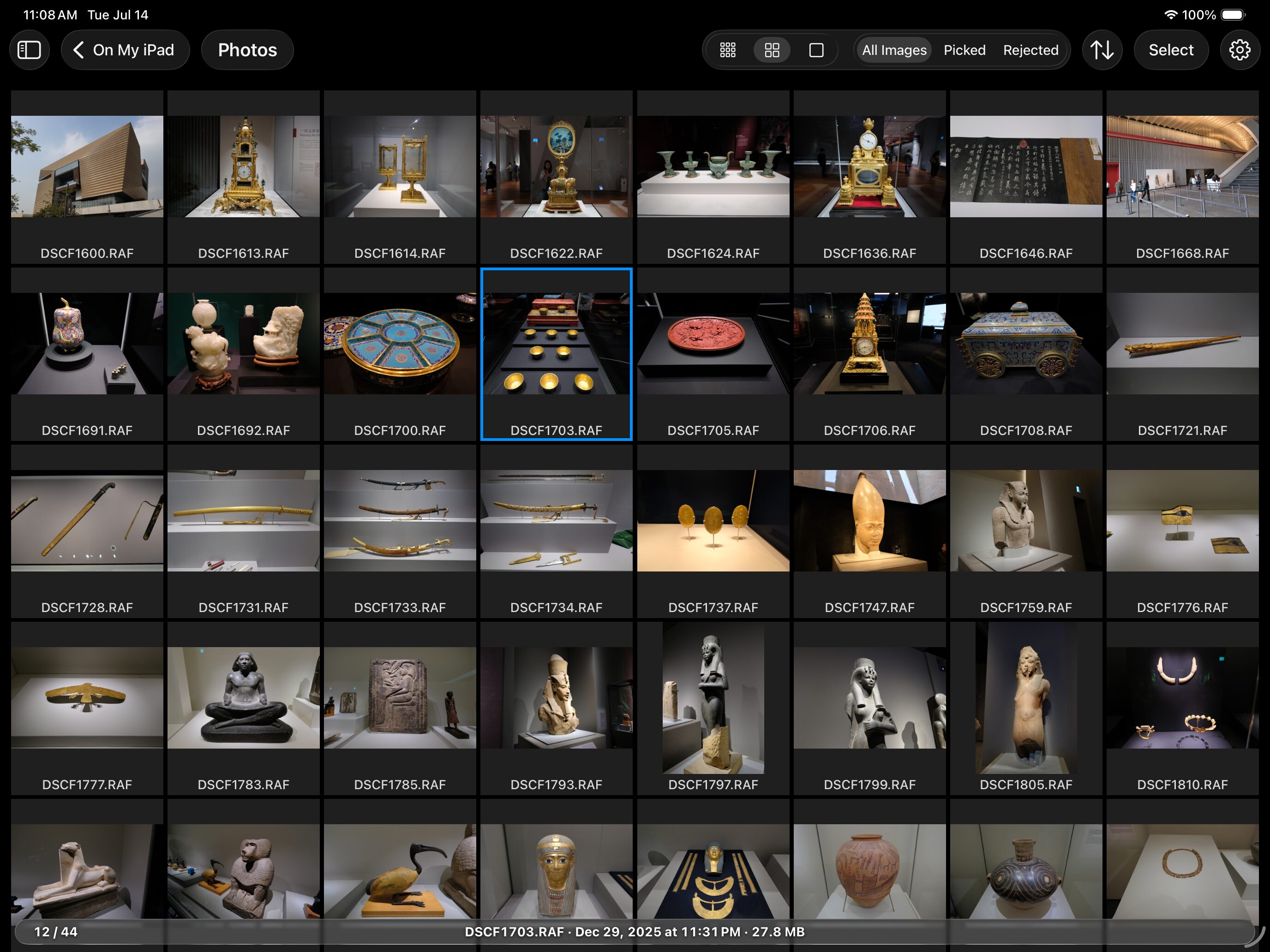 ApolloOne GO contact sheet showing a grid of RAW thumbnails with filters and file info bar