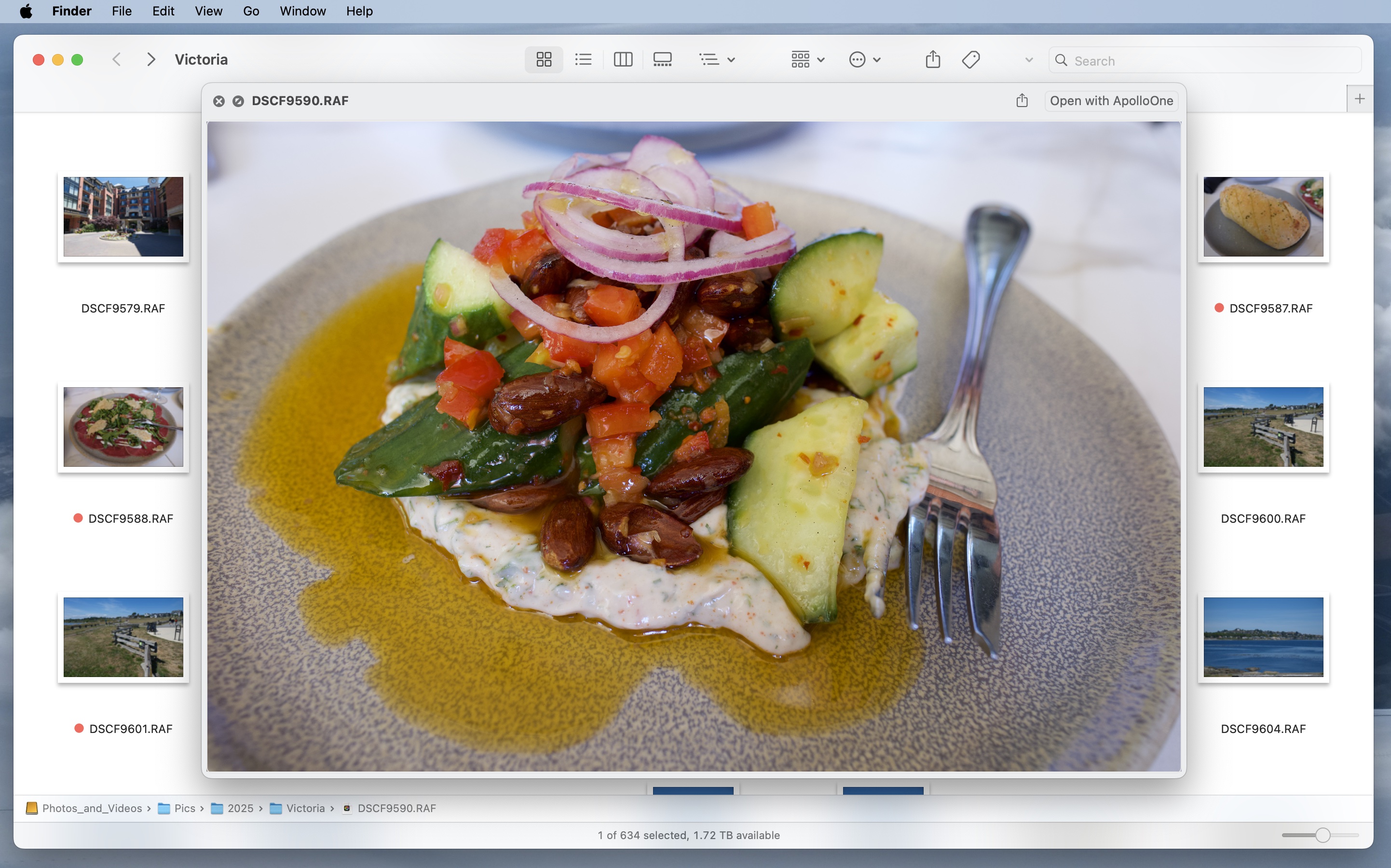 Camera RawX Quick Look preview in Finder