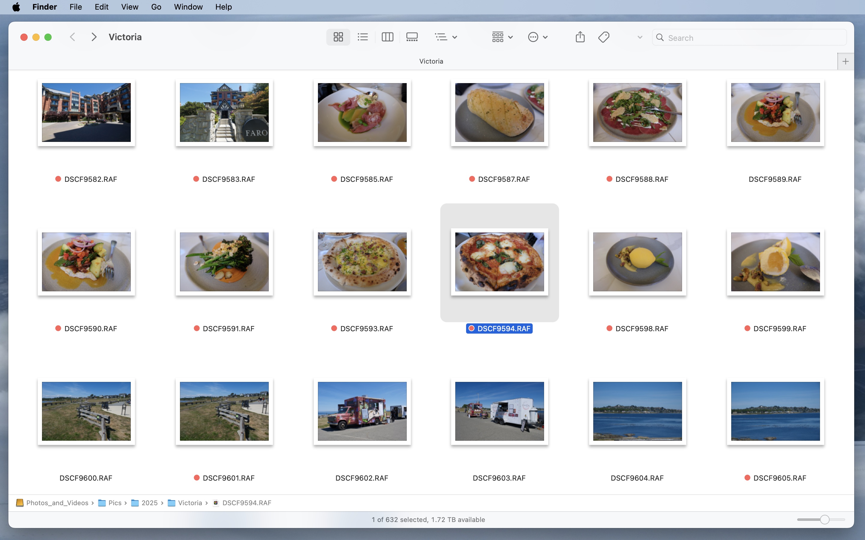 Camera RawX Finder thumbnails for RAW files